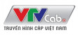 logo_vtvcab